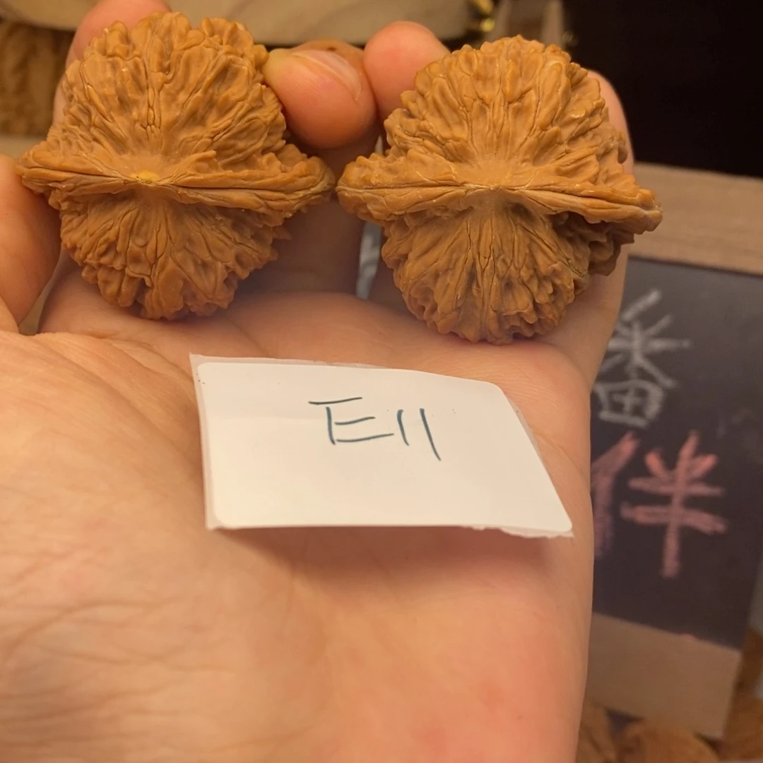 E11四座楼45左右一只有点黄尖介意勿拍