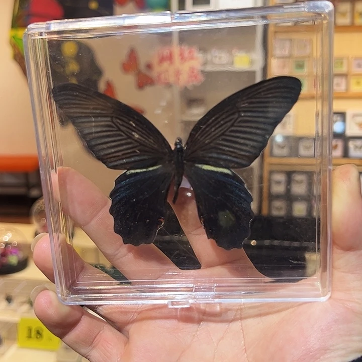 有机玻璃899877655778