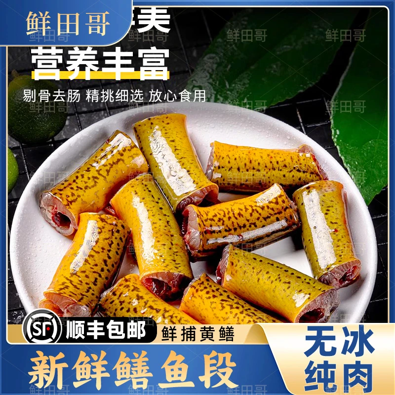 鲜田哥【直播大礼】鳝鱼段无水天然活杀顺丰包邮去头去尾送货上门