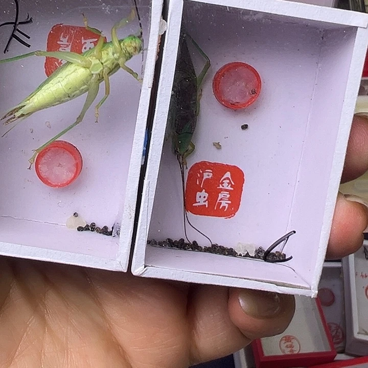 蔚***空哈哈哈哈哈哈哈哈哈哈哈哈