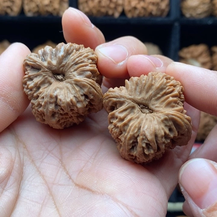 龙脊菩提吊坠南疆石福利