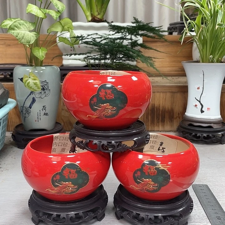 陶瓷花盆抢购福利活动