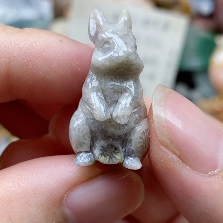 硅化珊瑚（珊瑚玉）未镶嵌颈饰小