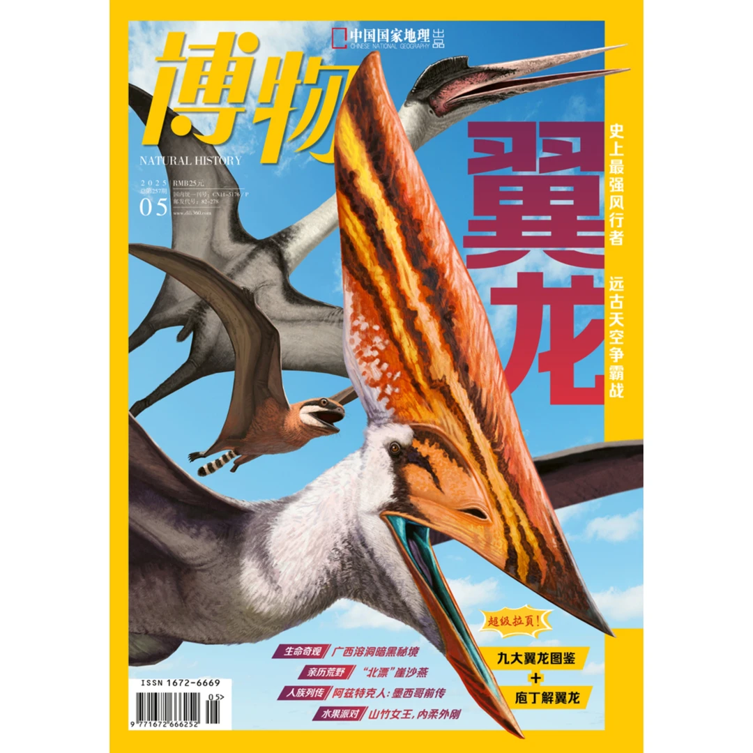 2025年博物5期全新正品杂志书籍博物杂志正版