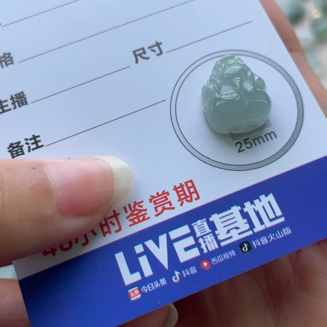 翡翠未镶嵌颈饰胖貔貅