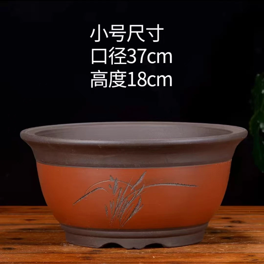 多肉花盆紫砂有无孔菖蒲文竹拇指盆大小号防烂根菖蒲文竹拇指盆大