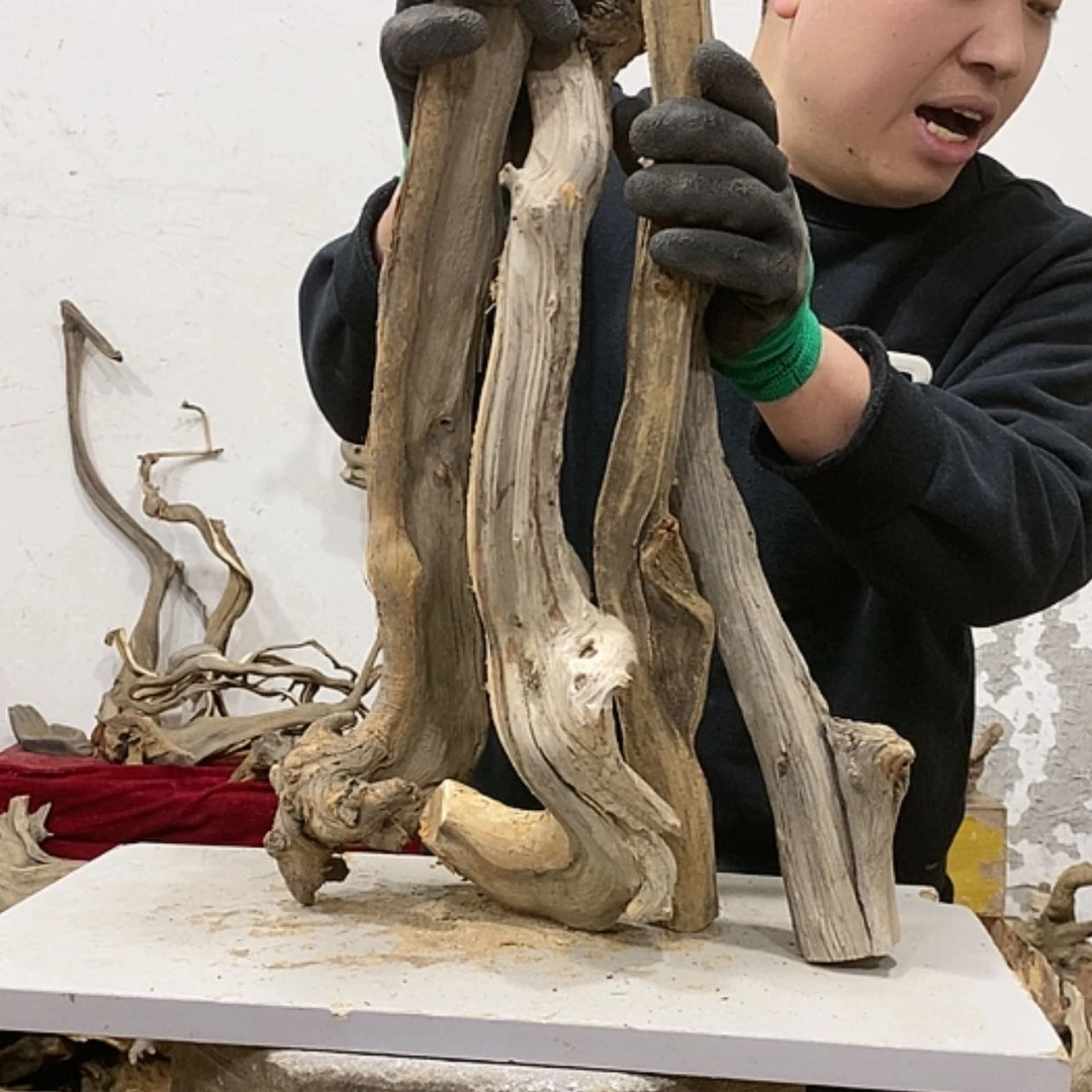 【闪购商品】柏木松*我们都是好孩子