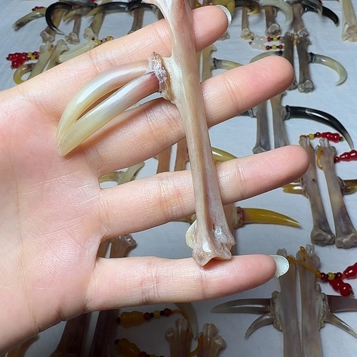 三***波手串/手链鸡骨（鸡脚）鸡爪骨单只