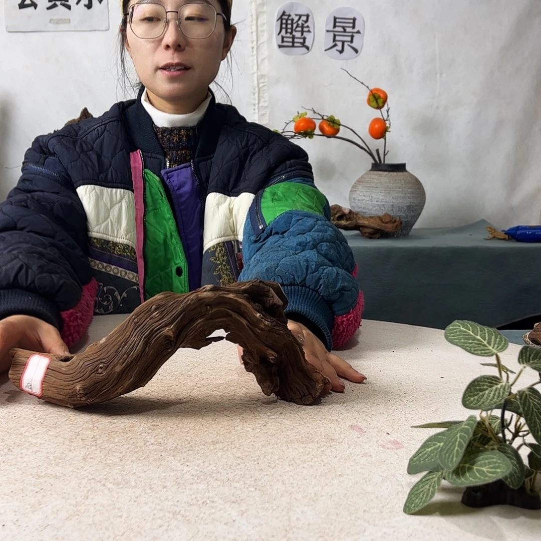 随*爬宠造景沉木造景