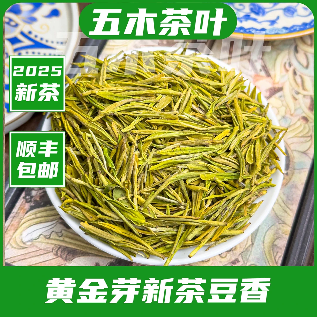 2025新茶明前头采黄金芽毛峰高山豆香茶叶罐装【厂长推荐H29】