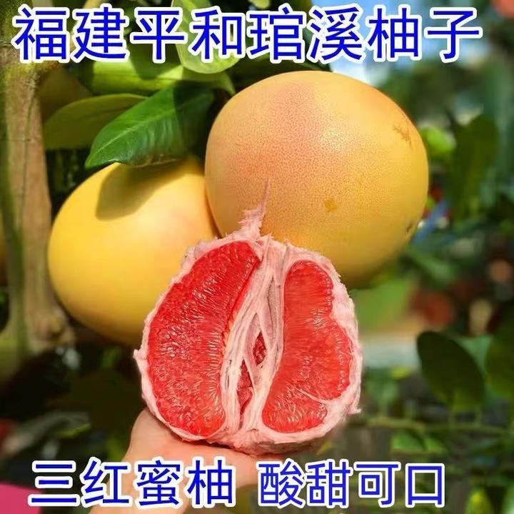 【福建】正宗平和琯溪三红蜜柚4.5/8.5斤装酸甜多汁产地直