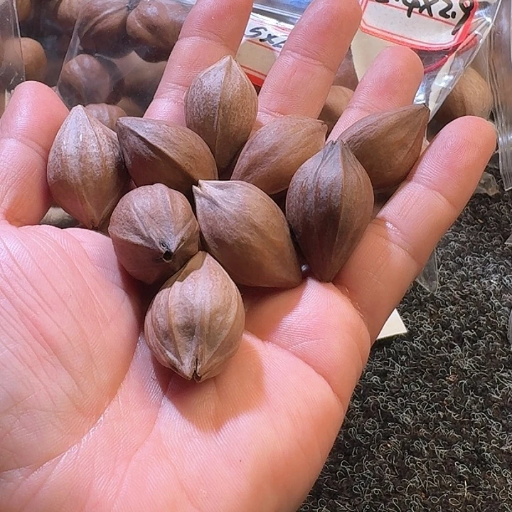 吊坠橄榄核2.3四花