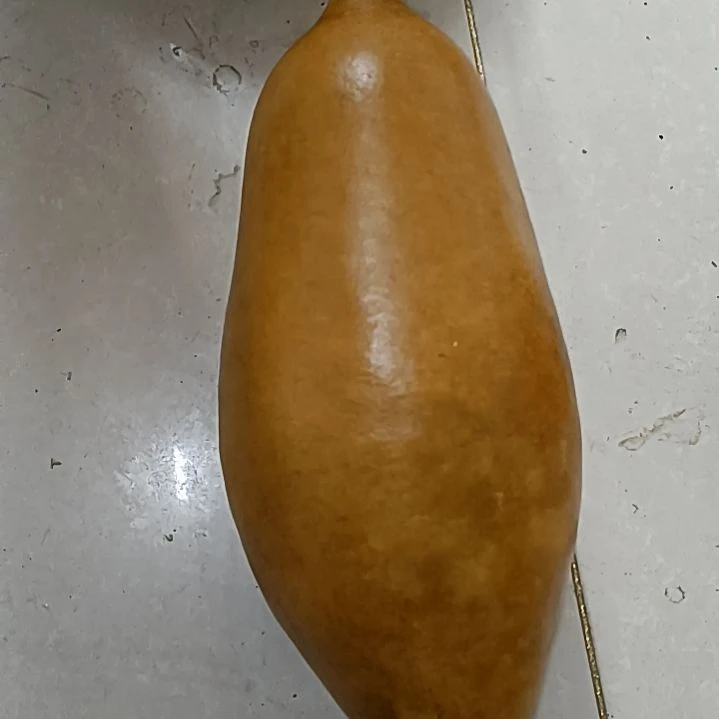 ?**❀瓶子葫芦！！！！！！！！