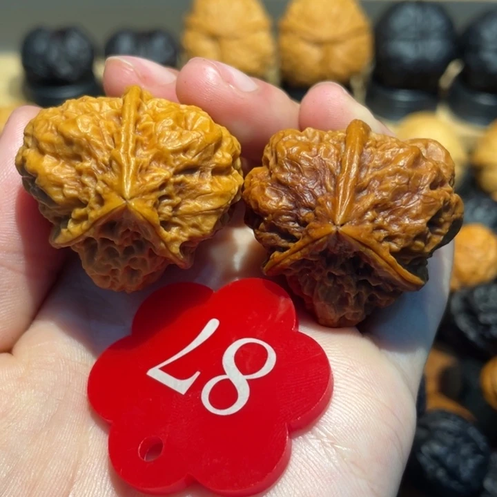 七彩糖果三棱核桃33