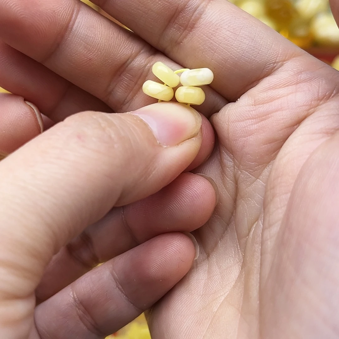 蜜蜡未镶嵌裸石天然