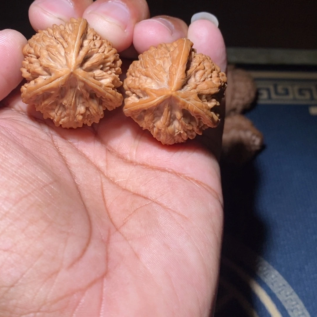 文玩核桃吊坠36尺寸御龙粗筋三棱