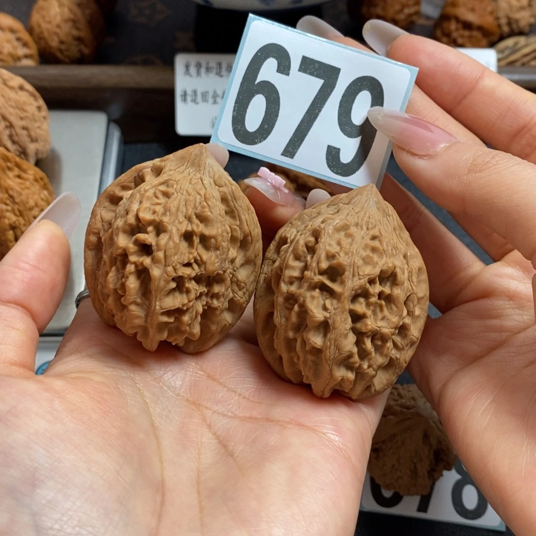 核桃679大沽石40尺寸