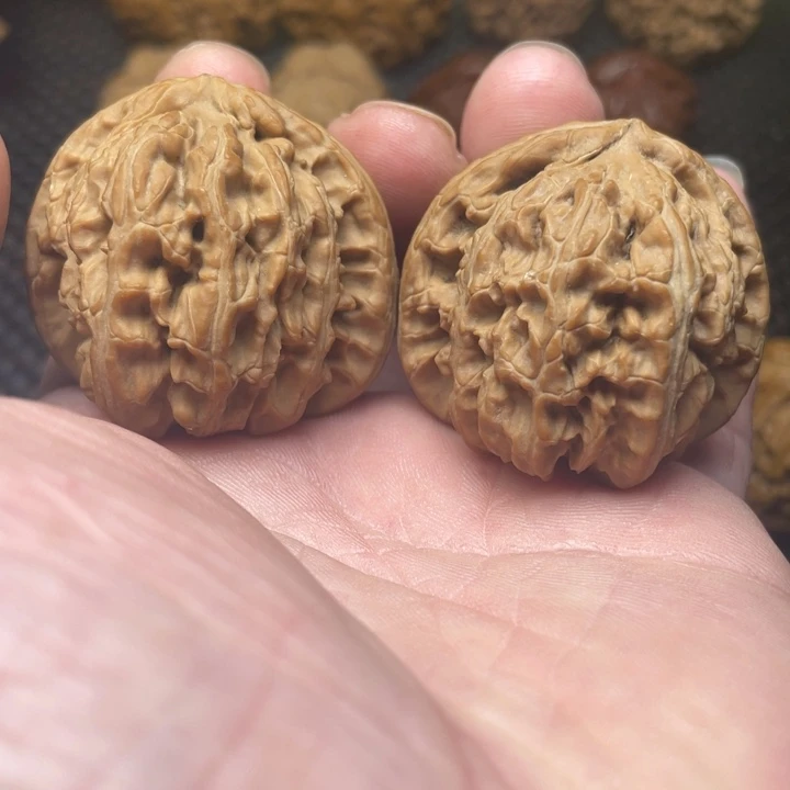 把件文玩核桃40全品白狮子