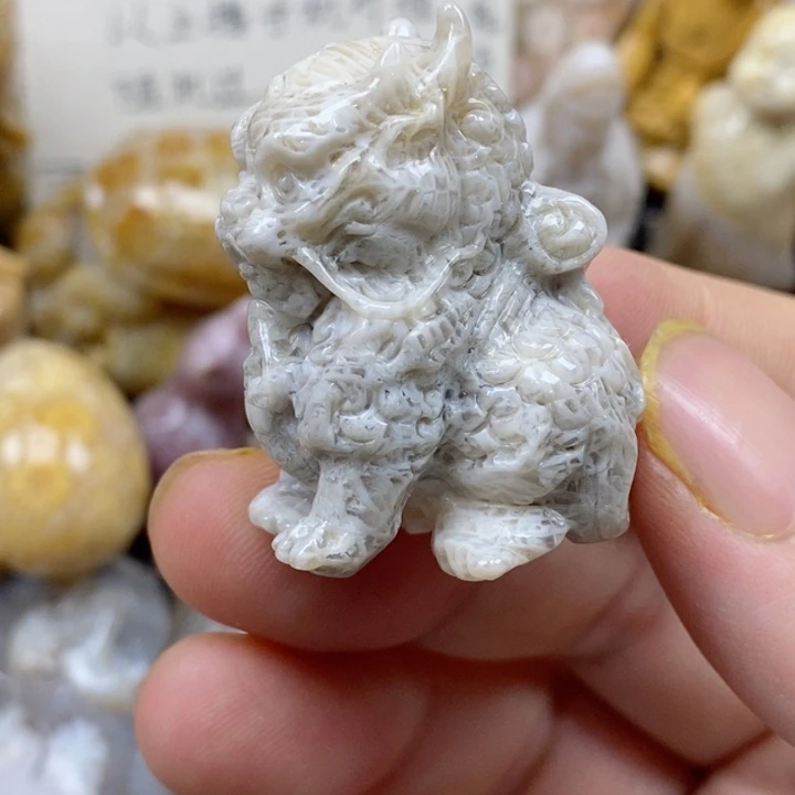 颈饰未镶嵌硅化珊瑚（珊瑚玉）