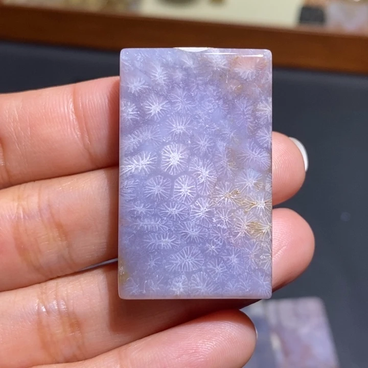 【闪购商品】未镶嵌珊瑚玉硅化玉