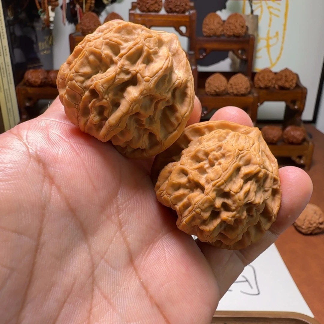 道哥俱乐部f梨木台44