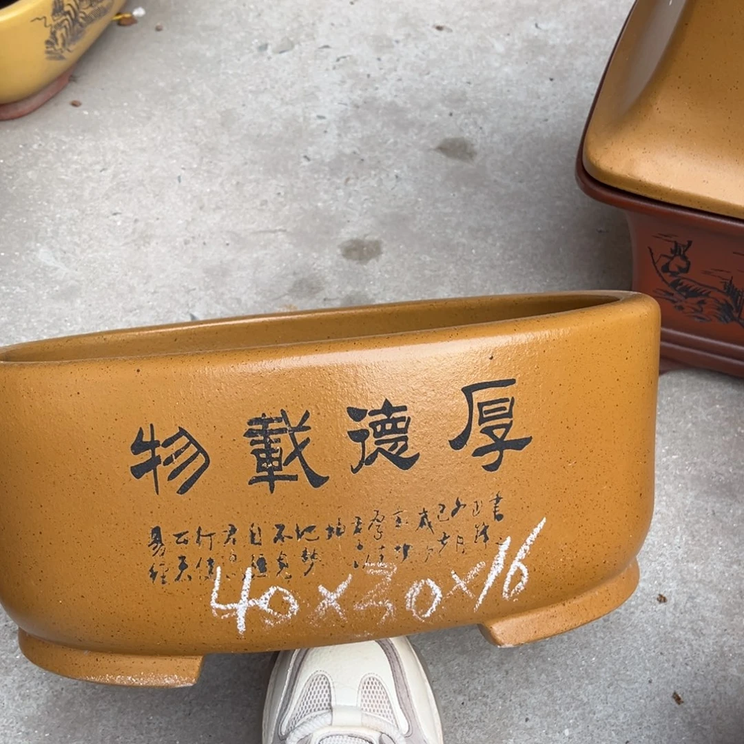 花盆紫砂盆景艺术