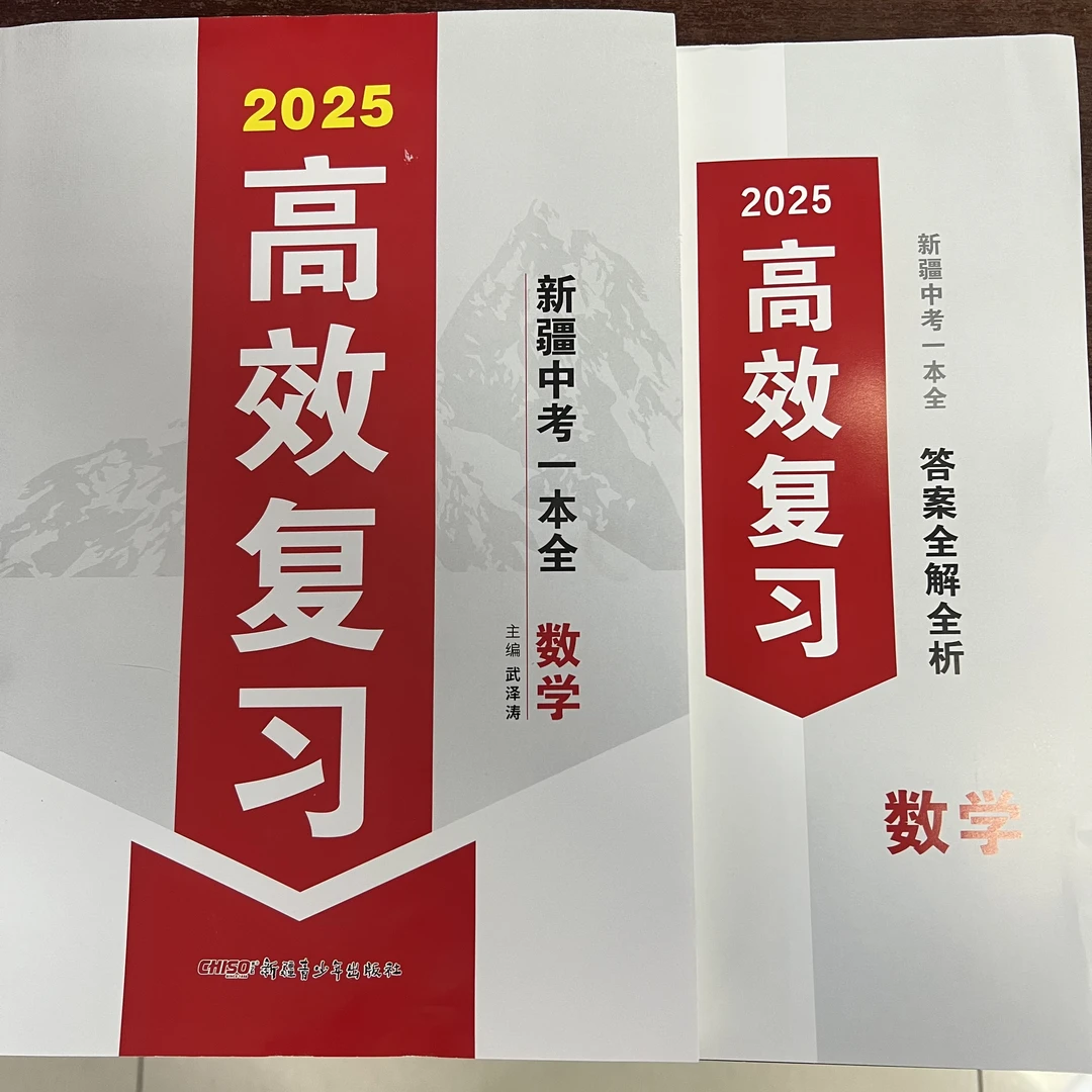 2025年高效复习—新疆中考一本全