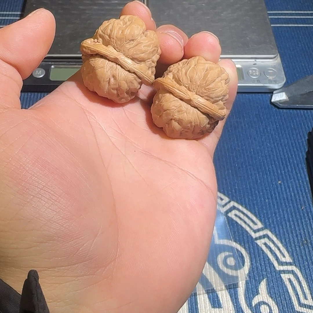 梁****车送的11111111111