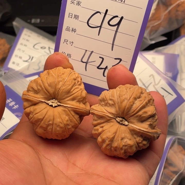 核桃南瓜42尺寸