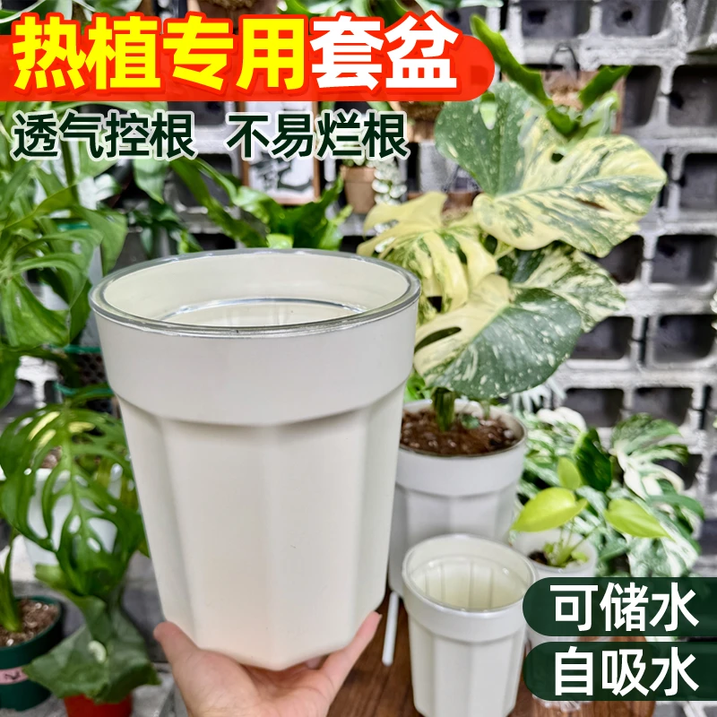 花烛海芋龟背竹热植盆蝴蝶兰懒人自吸水花盆水培套盆加高高档透气