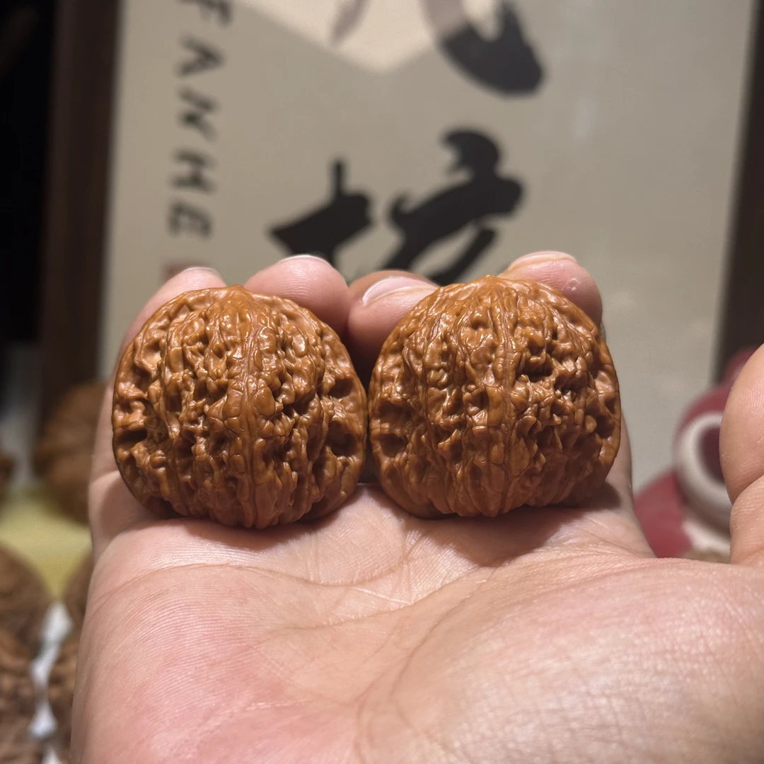 39尺寸原树宽城狮子头