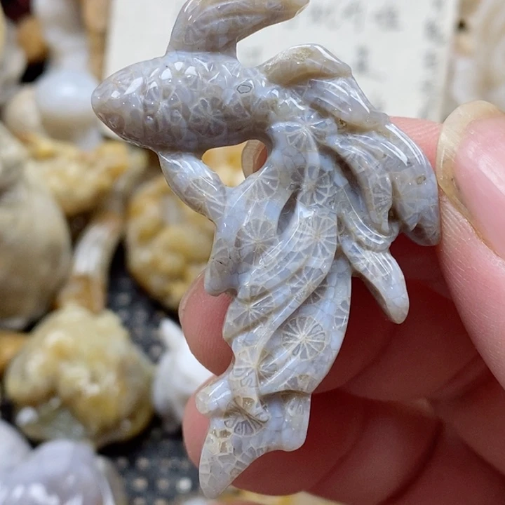颈饰未镶嵌硅化珊瑚（珊瑚玉）