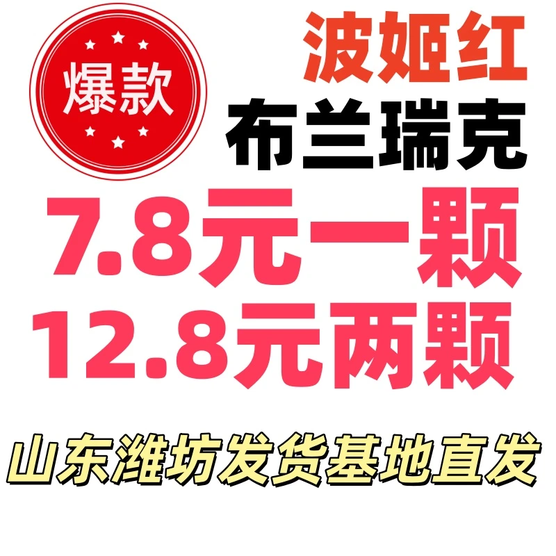 波姬红 + 布兰瑞克  耐寒 原盆原土发货