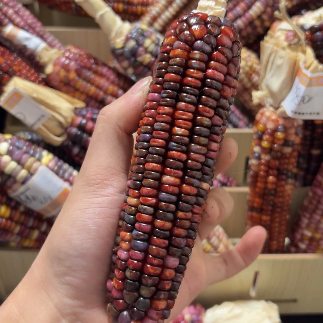 杨***_柏香籽/百香籽吊坠