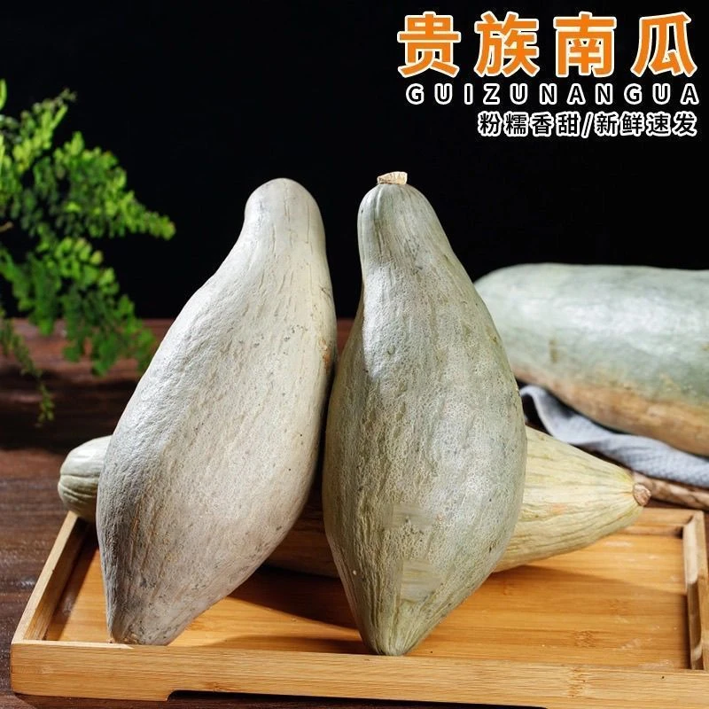 【新疆直发】贵族南瓜丑瓜新疆贵族丑南瓜新疆贵族南瓜