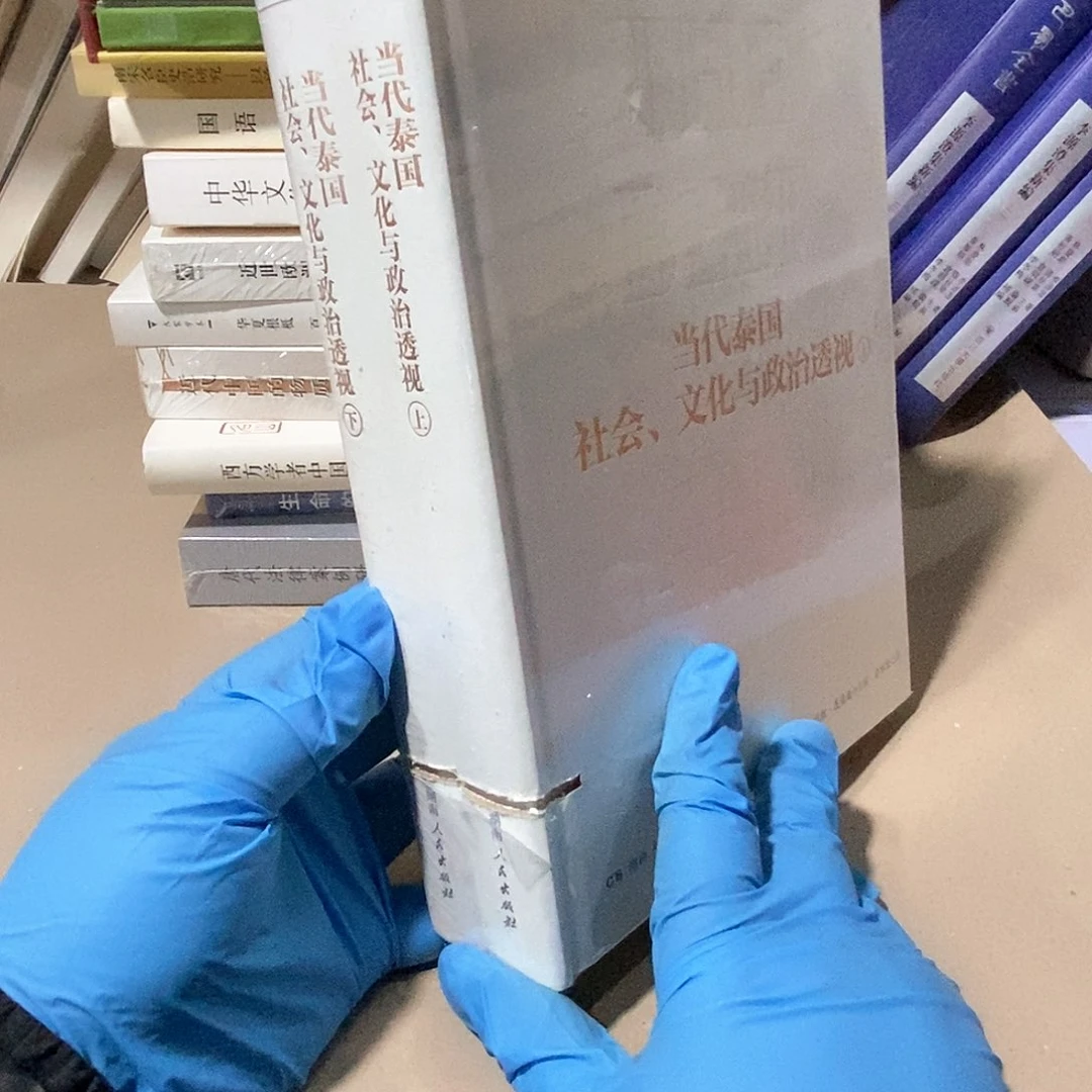 瑕疵  当代泰国  上下