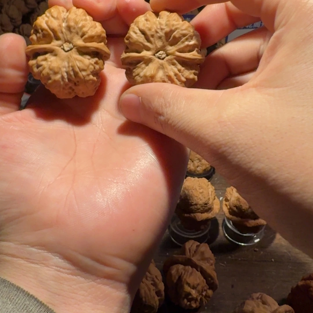 ****！文玩核桃吊坠蛤蟆的眼睛是真的好看啊我的天啊