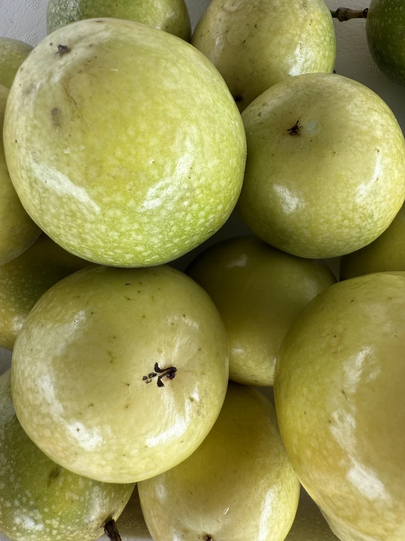 贵州高山露天种植钦蜜9号百香果5斤大果（80-120）包邮