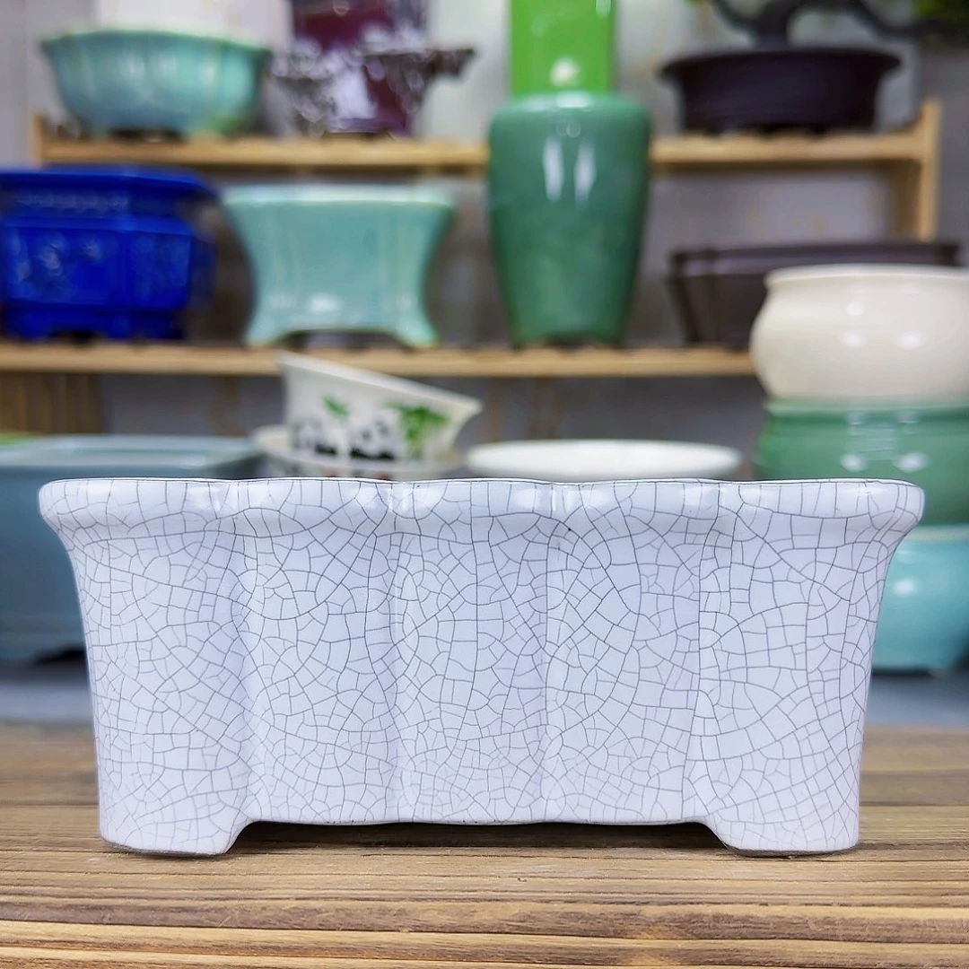 陶瓷花盆特价上新