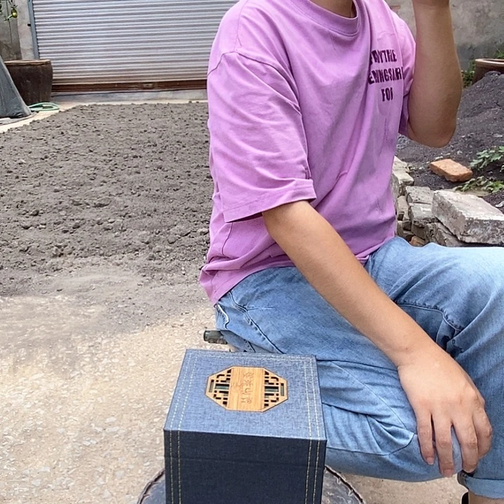 茶壶紫砂紫砂壶一壶一检测399