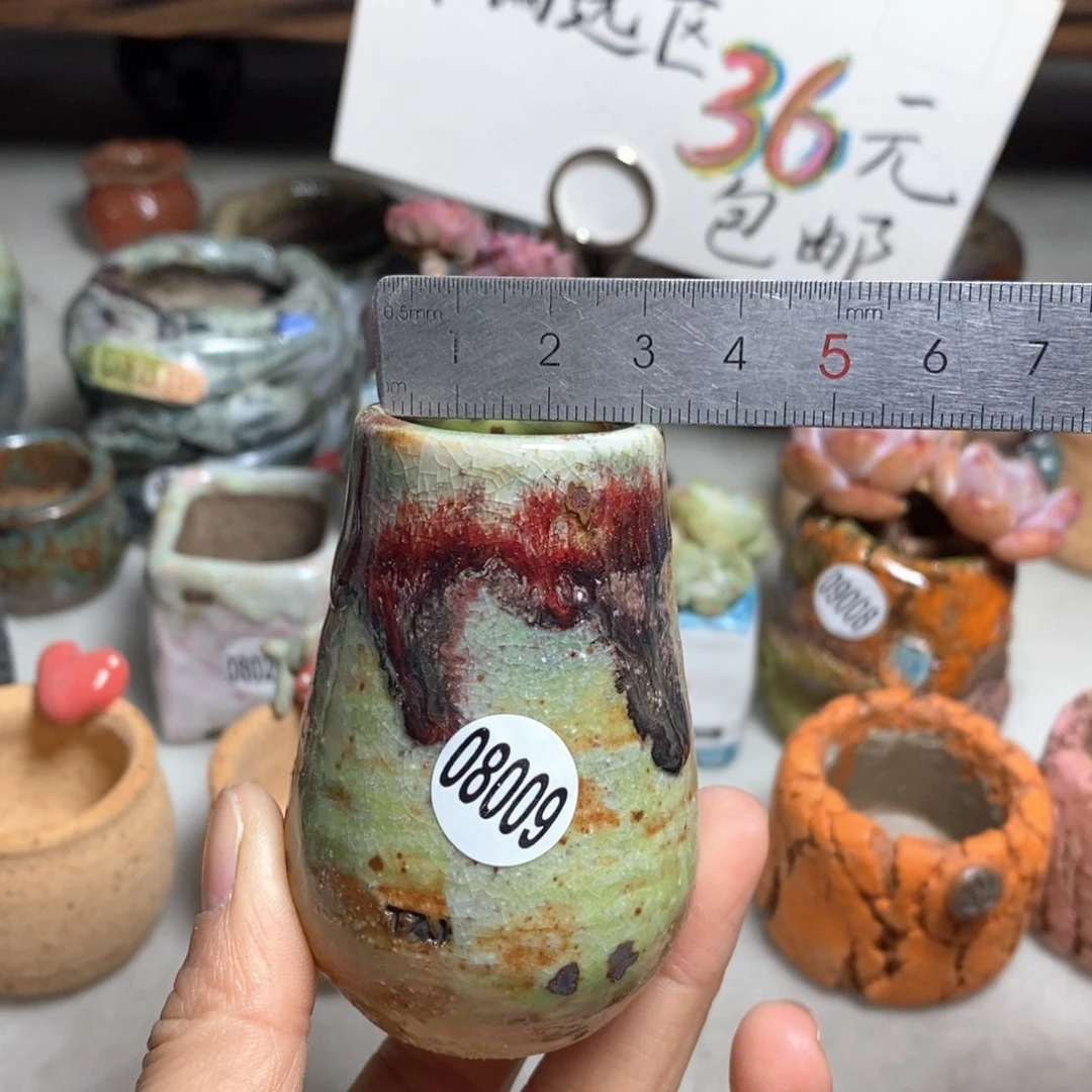 花盆拍5送一个小礼物