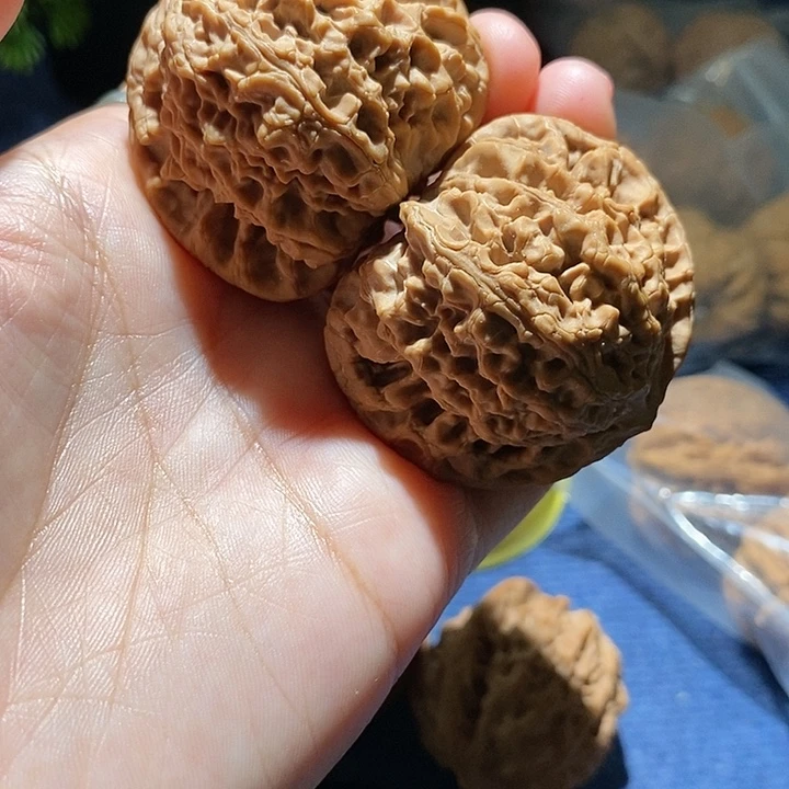 星***辰吊坠文玩核桃狮子毛