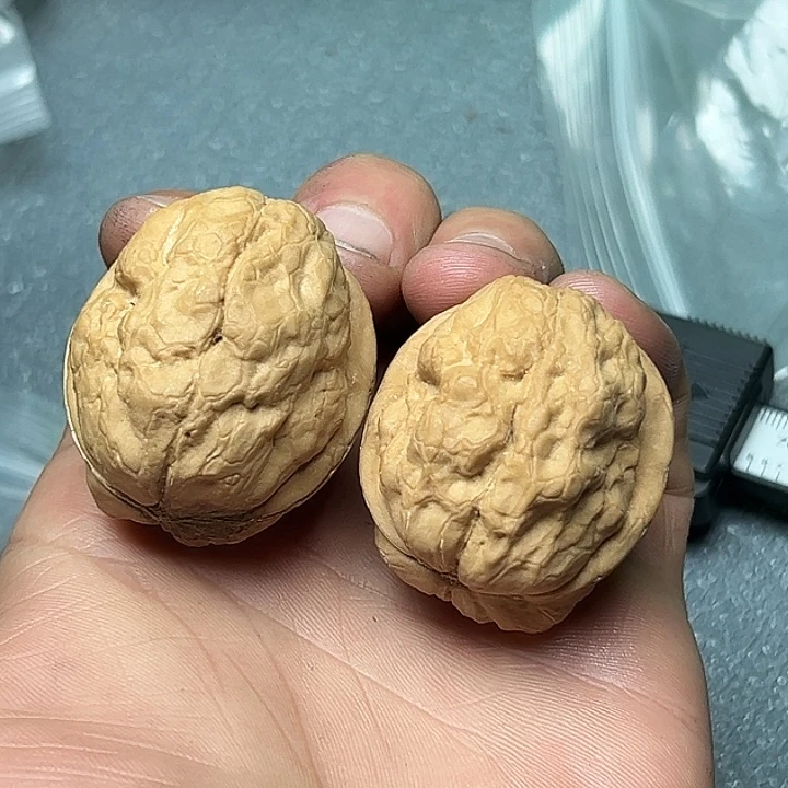 把件文玩核桃50号疙瘩包39尺