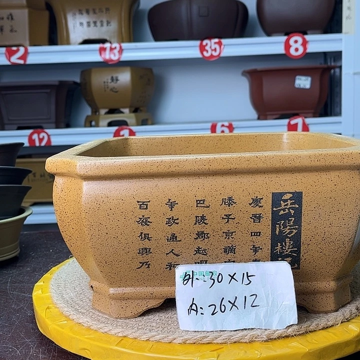紫砂花盆你在一起