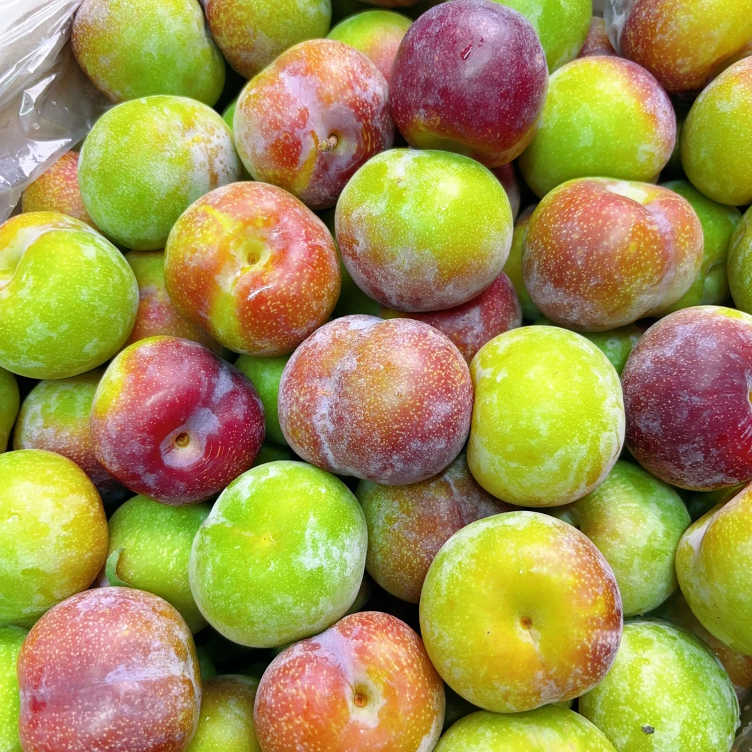 《丹选》云南青红脆李子 3斤  顺丰包邮