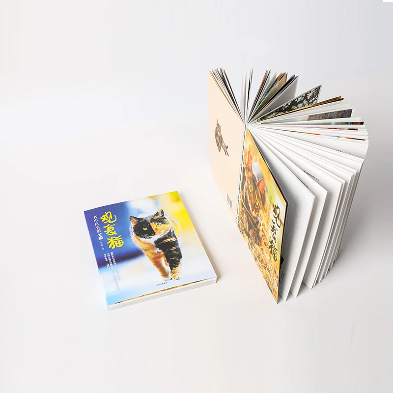 观复猫：书中自有黄金猫收藏－文化－中国－通 俗读物