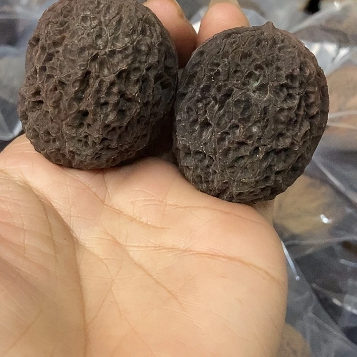 文玩核桃把件云南铁核桃基地3