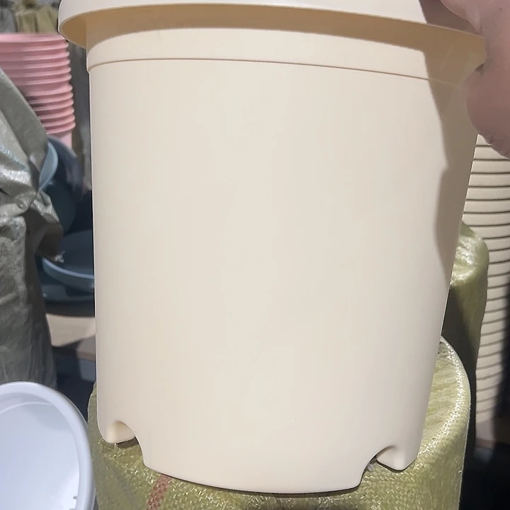 圆6号米色3个无托盘