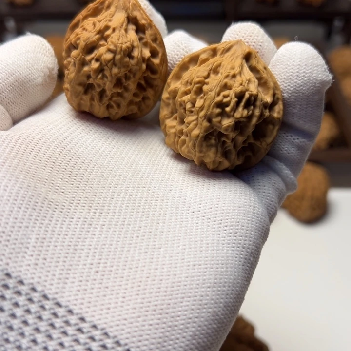 核桃全品火炎马蹄无药