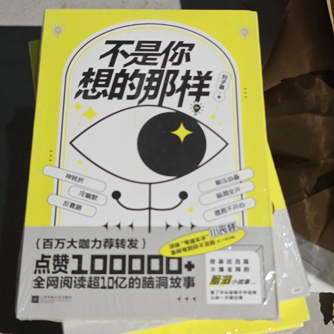 不是你想象那样平装塑封全新